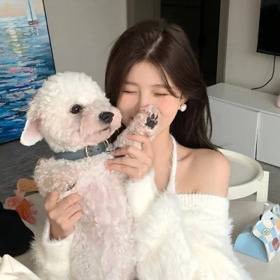 境界战机第二季